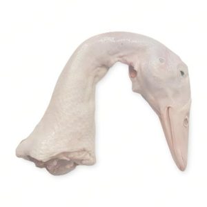 Frozen Duck Head