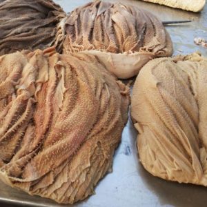 Frozen Beef Omasum
