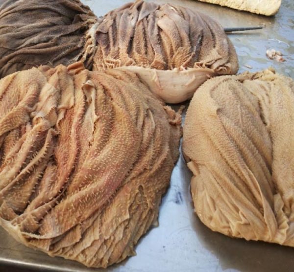 Frozen Beef Omasum