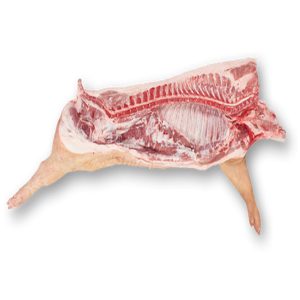 Frozen Pork Carcasses