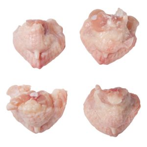 Frozen Chicken Tail