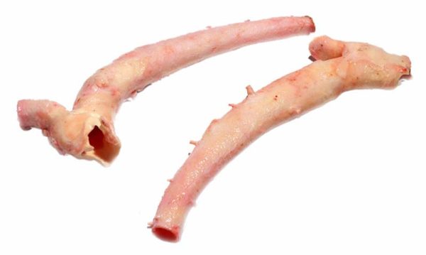 Frozen Beef Aorta