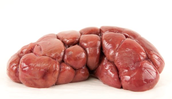 Buffalo Kidney