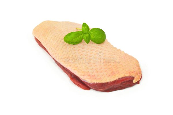 Frozen Duck Skin