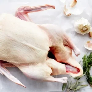 Frozen Duck