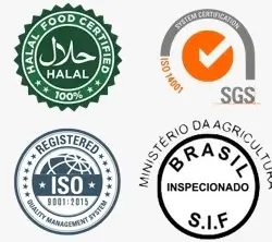 Seara Alimentos Certified Docs (1)